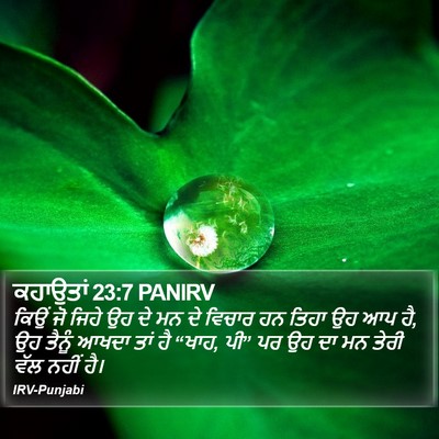 ਕਹਾਉਤਾਂ 23:7 PANIRV Bible Verse Image