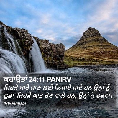 ਕਹਾਉਤਾਂ 24:11 PANIRV Bible Verse Image