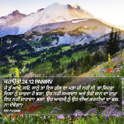 ਕਹਾਉਤਾਂ 24:12 PANIRV Bible Verse Image