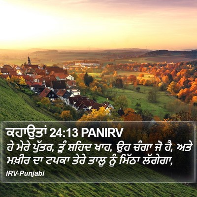 ਕਹਾਉਤਾਂ 24:13 PANIRV Bible Verse Image