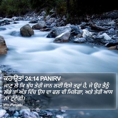 ਕਹਾਉਤਾਂ 24:14 PANIRV Bible Verse Image