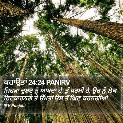 ਕਹਾਉਤਾਂ 24:24 PANIRV Bible Verse Image