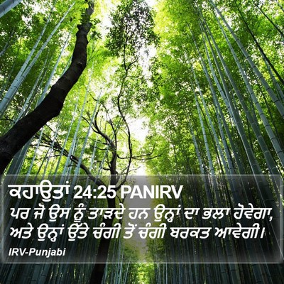 ਕਹਾਉਤਾਂ 24:25 PANIRV Bible Verse Image