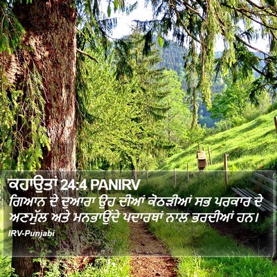 ਕਹਾਉਤਾਂ 24:4 PANIRV Bible Verse Image
