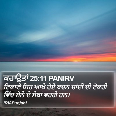 ਕਹਾਉਤਾਂ 25:11 PANIRV Bible Verse Image