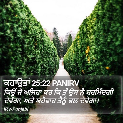 ਕਹਾਉਤਾਂ 25:22 PANIRV Bible Verse Image