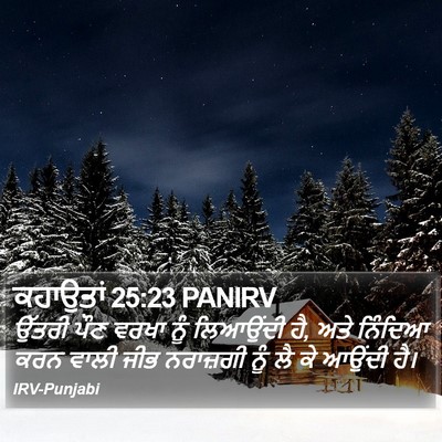 ਕਹਾਉਤਾਂ 25:23 PANIRV Bible Verse Image