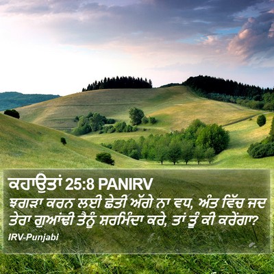 ਕਹਾਉਤਾਂ 25:8 PANIRV Bible Verse Image
