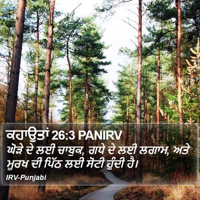 ਕਹਾਉਤਾਂ 26:3 PANIRV Bible Verse Image