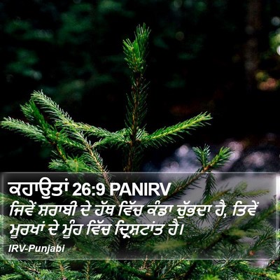 ਕਹਾਉਤਾਂ 26:9 PANIRV Bible Verse Image