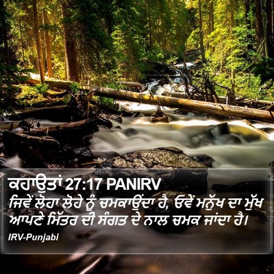 ਕਹਾਉਤਾਂ 27:17 PANIRV Bible Verse Image