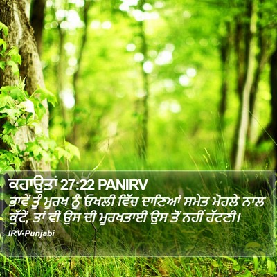 ਕਹਾਉਤਾਂ 27:22 PANIRV Bible Verse Image