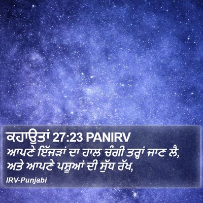 ਕਹਾਉਤਾਂ 27:23 PANIRV Bible Verse Image