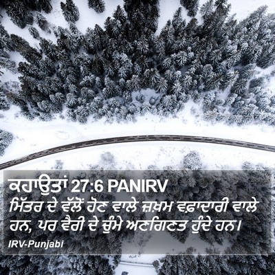 ਕਹਾਉਤਾਂ 27:6 PANIRV Bible Verse Image