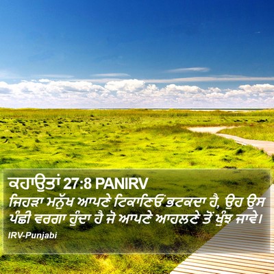 ਕਹਾਉਤਾਂ 27:8 PANIRV Bible Verse Image