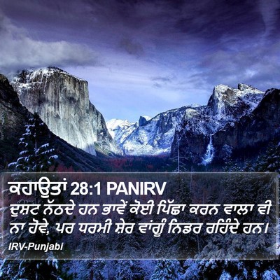 ਕਹਾਉਤਾਂ 28:1 PANIRV Bible Verse Image