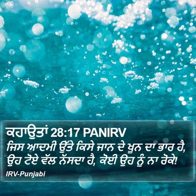 ਕਹਾਉਤਾਂ 28:17 PANIRV Bible Verse Image