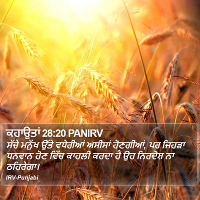 ਕਹਾਉਤਾਂ 28:20 PANIRV Bible Verse Image
