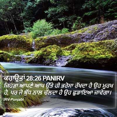 ਕਹਾਉਤਾਂ 28:26 PANIRV Bible Verse Image