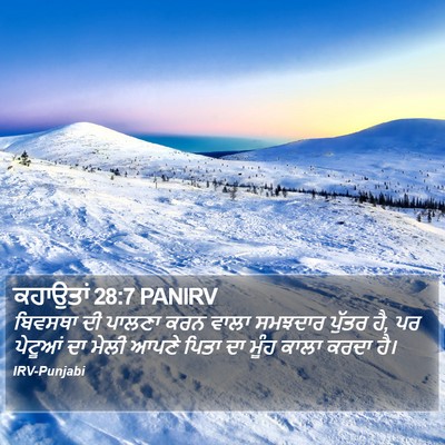 ਕਹਾਉਤਾਂ 28:7 PANIRV Bible Verse Image