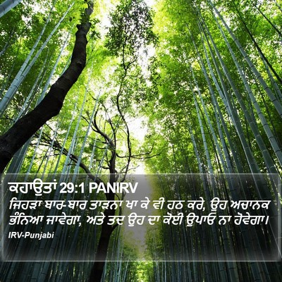 ਕਹਾਉਤਾਂ 29:1 PANIRV Bible Verse Image