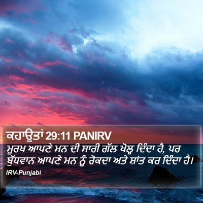 ਕਹਾਉਤਾਂ 29:11 PANIRV Bible Verse Image