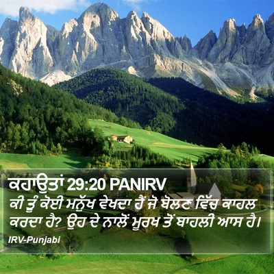 ਕਹਾਉਤਾਂ 29:20 PANIRV Bible Verse Image