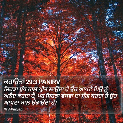 ਕਹਾਉਤਾਂ 29:3 PANIRV Bible Verse Image