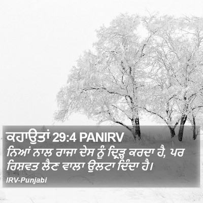 ਕਹਾਉਤਾਂ 29:4 PANIRV Bible Verse Image