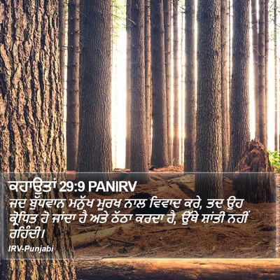 ਕਹਾਉਤਾਂ 29:9 PANIRV Bible Verse Image