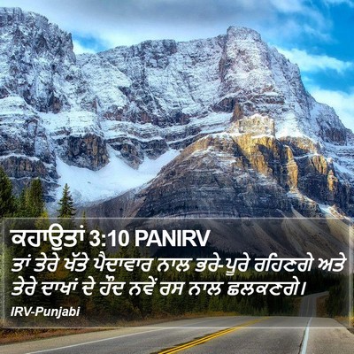 ਕਹਾਉਤਾਂ 3:10 PANIRV Bible Verse Image