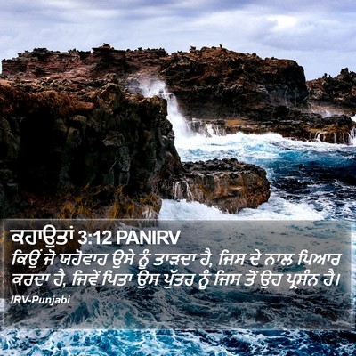 ਕਹਾਉਤਾਂ 3:12 PANIRV Bible Verse Image