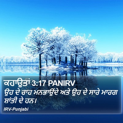 ਕਹਾਉਤਾਂ 3:17 PANIRV Bible Verse Image