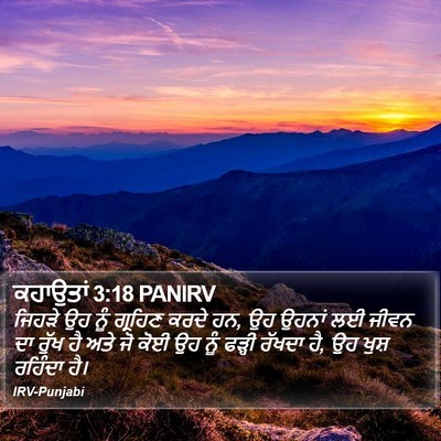 ਕਹਾਉਤਾਂ 3:18 PANIRV Bible Verse Image