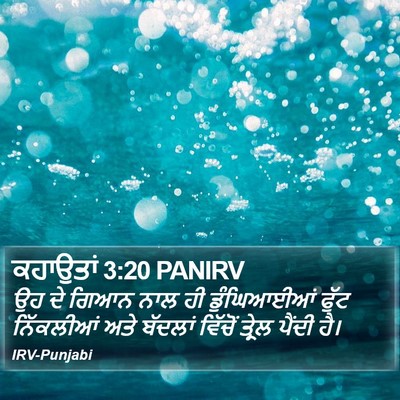 ਕਹਾਉਤਾਂ 3:20 PANIRV Bible Verse Image