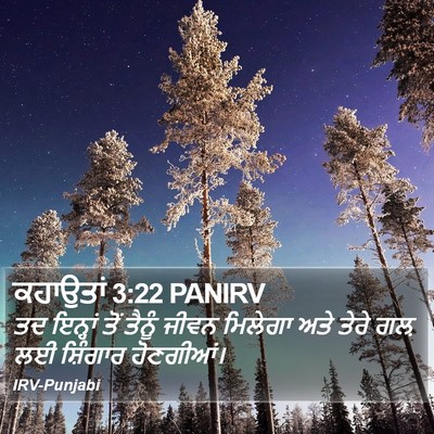 ਕਹਾਉਤਾਂ 3:22 PANIRV Bible Verse Image