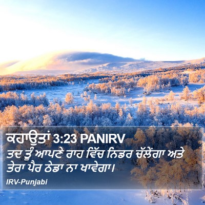 ਕਹਾਉਤਾਂ 3:23 PANIRV Bible Verse Image