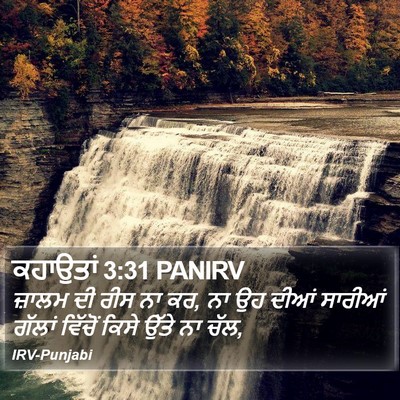 ਕਹਾਉਤਾਂ 3:31 PANIRV Bible Verse Image