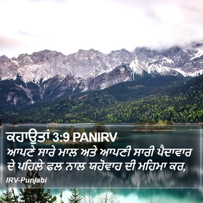 ਕਹਾਉਤਾਂ 3:9 PANIRV Bible Verse Image