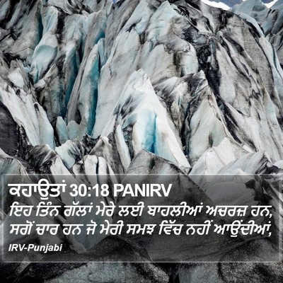 ਕਹਾਉਤਾਂ 30:18 PANIRV Bible Verse Image
