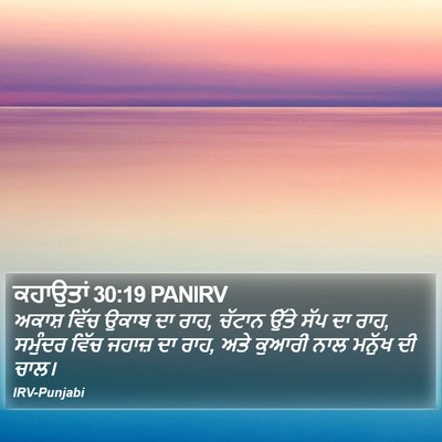 ਕਹਾਉਤਾਂ 30:19 PANIRV Bible Verse Image