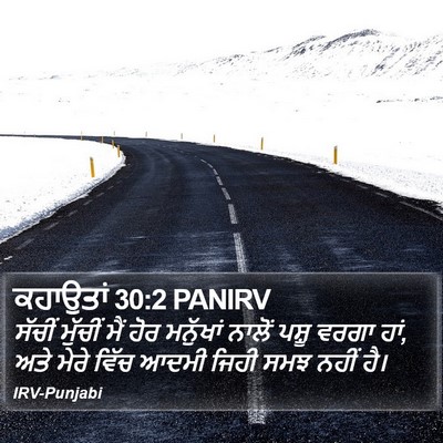 ਕਹਾਉਤਾਂ 30:2 PANIRV Bible Verse Image