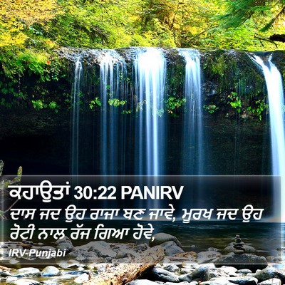 ਕਹਾਉਤਾਂ 30:22 PANIRV Bible Verse Image