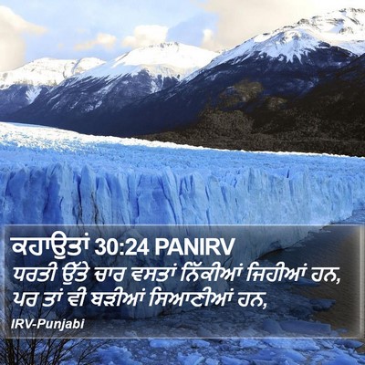 ਕਹਾਉਤਾਂ 30:24 PANIRV Bible Verse Image