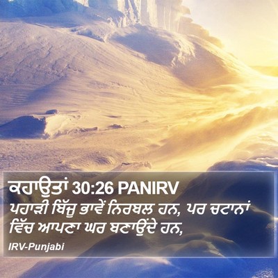 ਕਹਾਉਤਾਂ 30:26 PANIRV Bible Verse Image