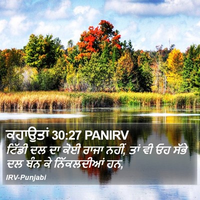 ਕਹਾਉਤਾਂ 30:27 PANIRV Bible Verse Image