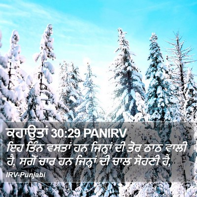 ਕਹਾਉਤਾਂ 30:29 PANIRV Bible Verse Image