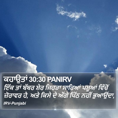 ਕਹਾਉਤਾਂ 30:30 PANIRV Bible Verse Image