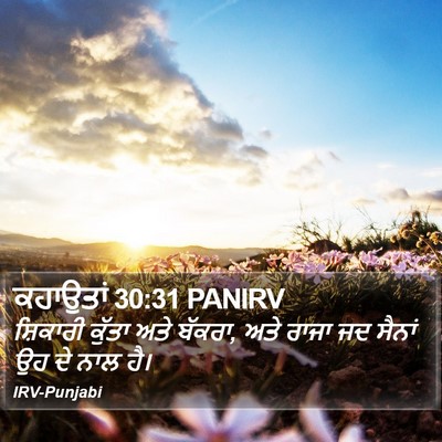 ਕਹਾਉਤਾਂ 30:31 PANIRV Bible Verse Image