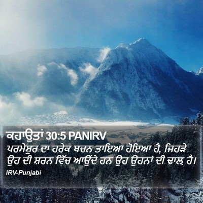 ਕਹਾਉਤਾਂ 30:5 PANIRV Bible Verse Image